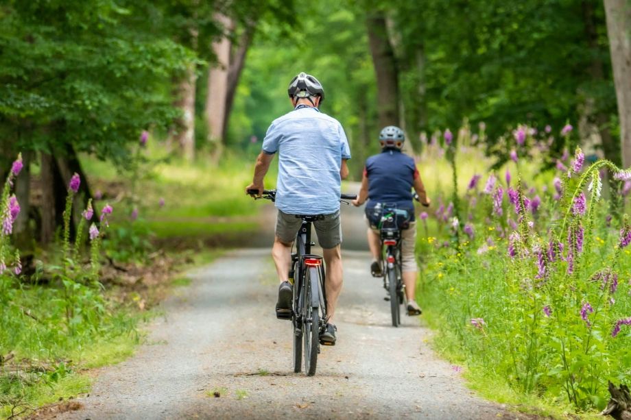 Compostelle à vélo