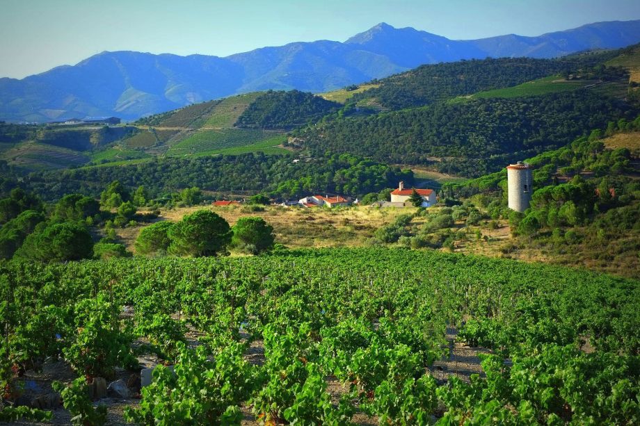 séjour randonnée banyuls