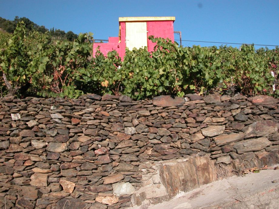 séjour randonnée banyuls