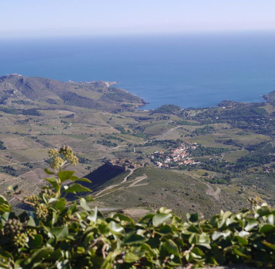 randonnée liberté Pyrénées