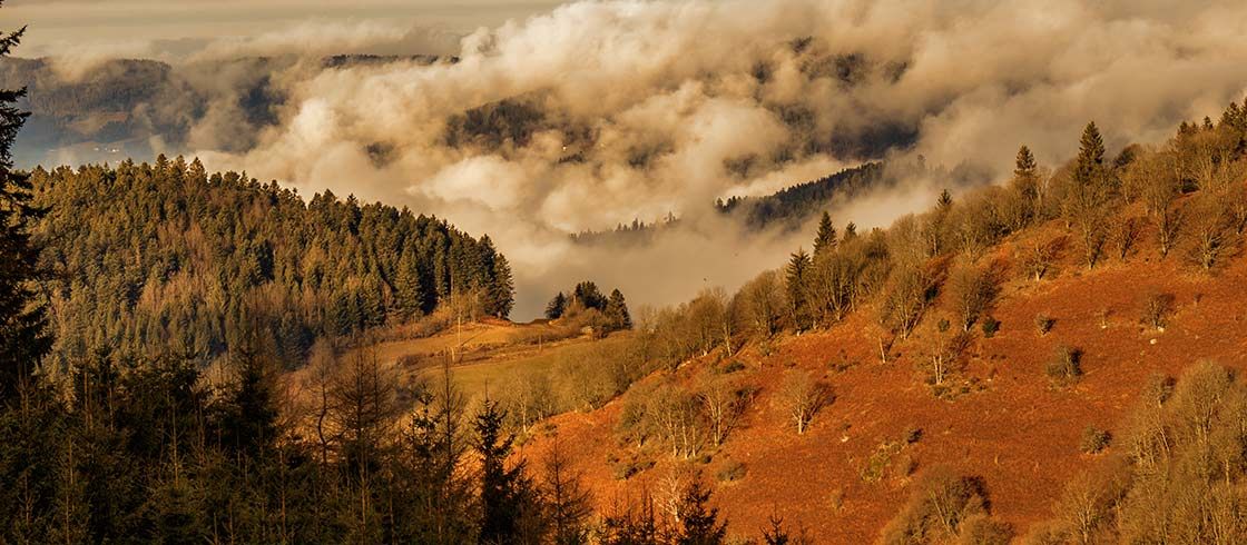 randonnées dans les vosges