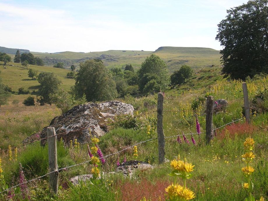 Randonnée tour aubrac