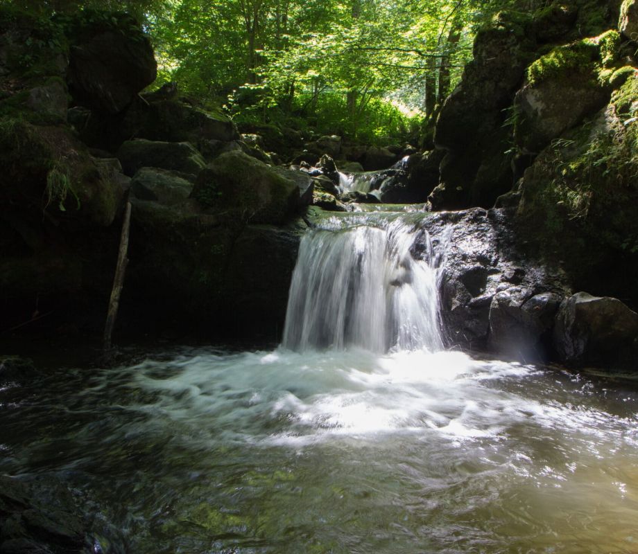 randonnée liberté Auvergne