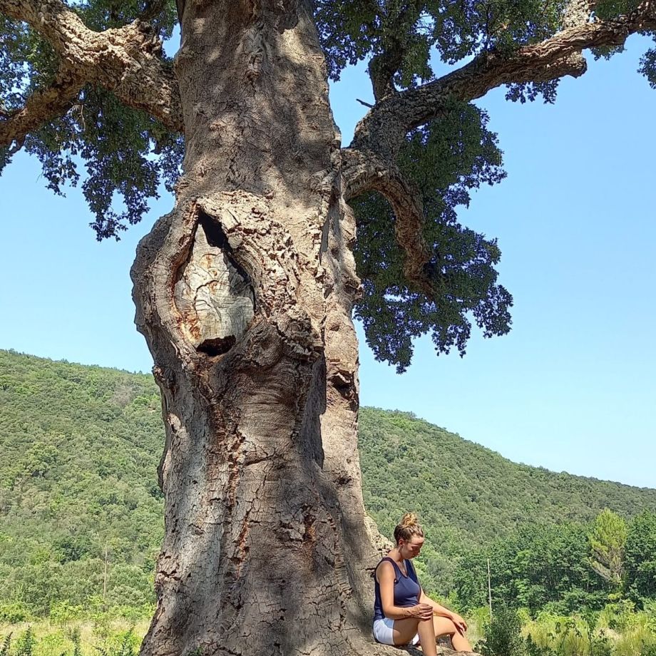 escapade zen pyrénées