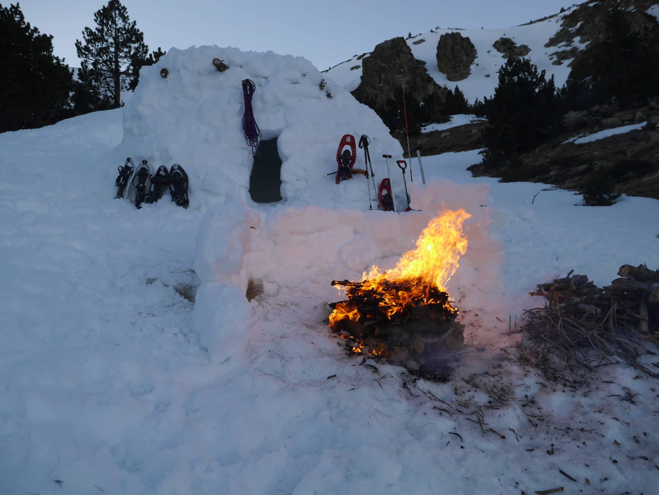 stage de survie hiver