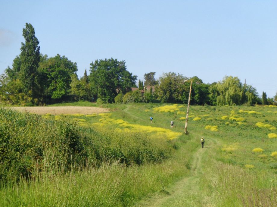 chemins Compostelle France