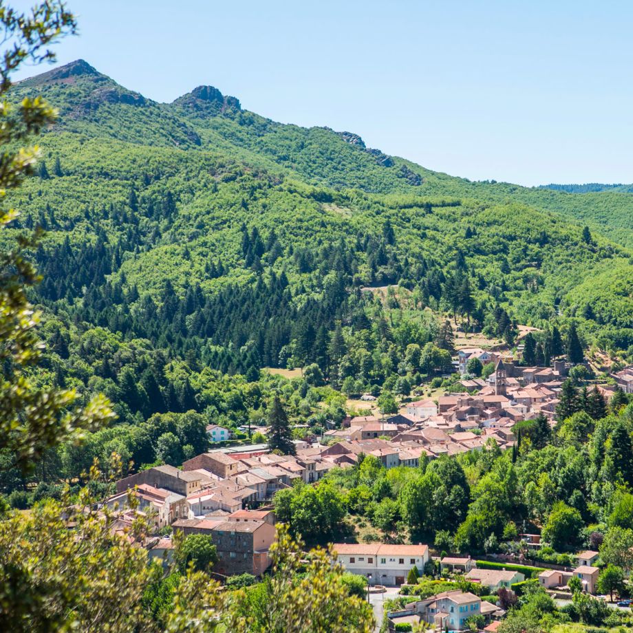 Voie d'Arles Provence