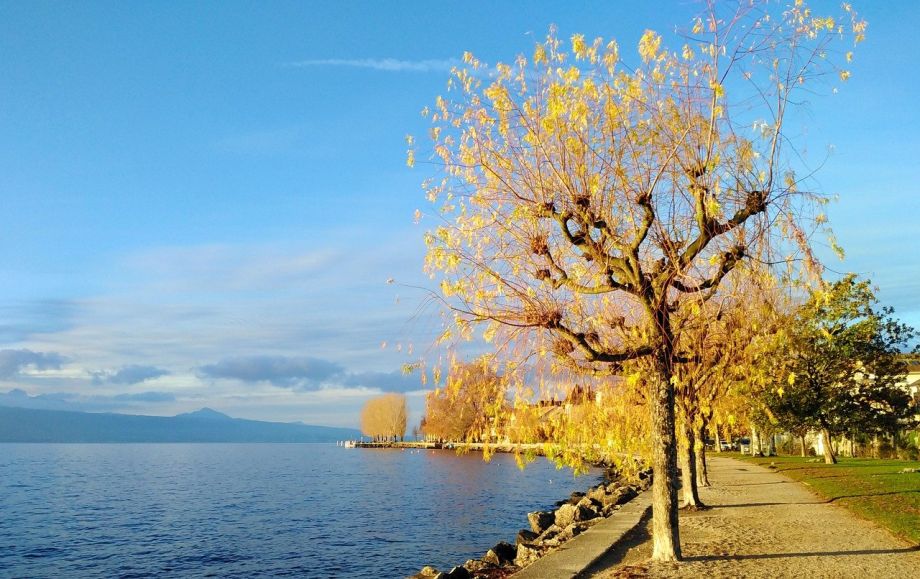 Voie de Geneve Alpes
