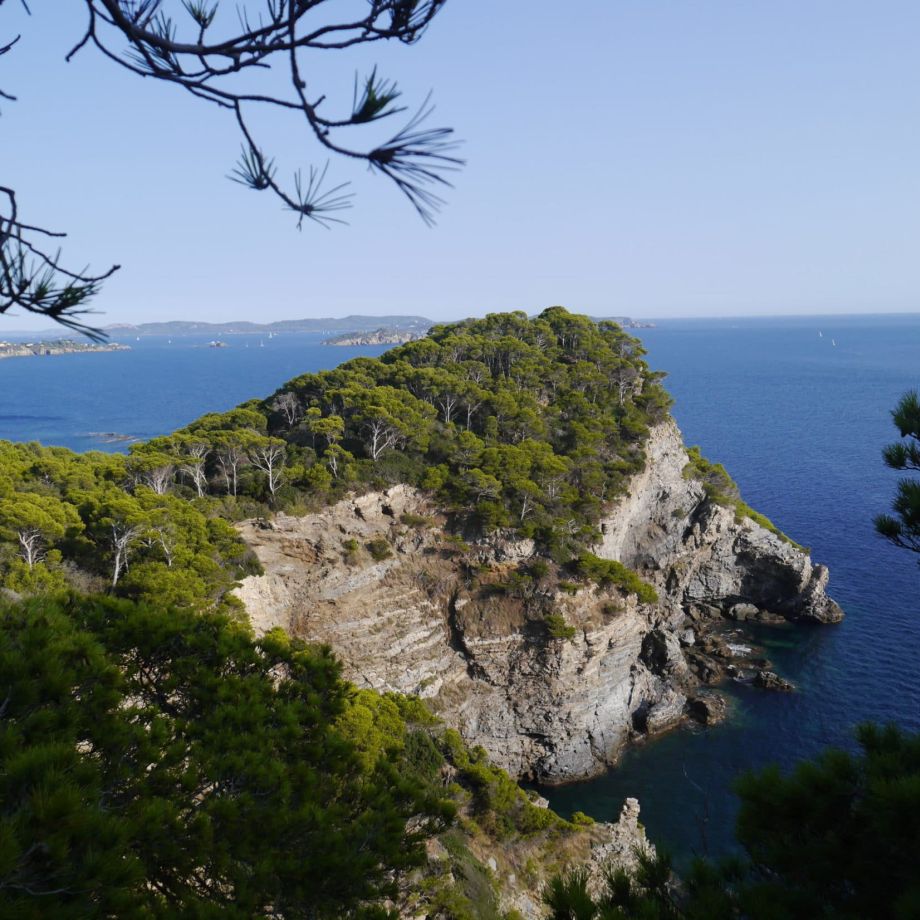 rando var