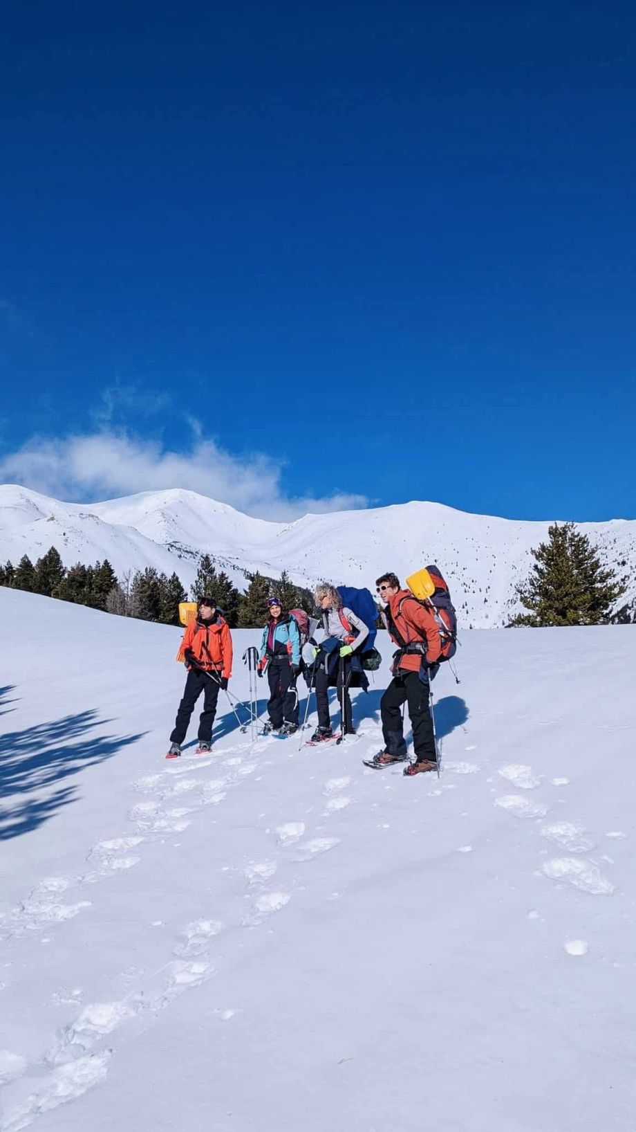 stage de survie hiver