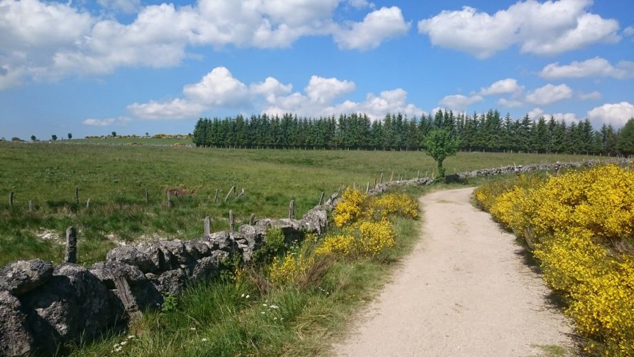 chemin Compostelle France