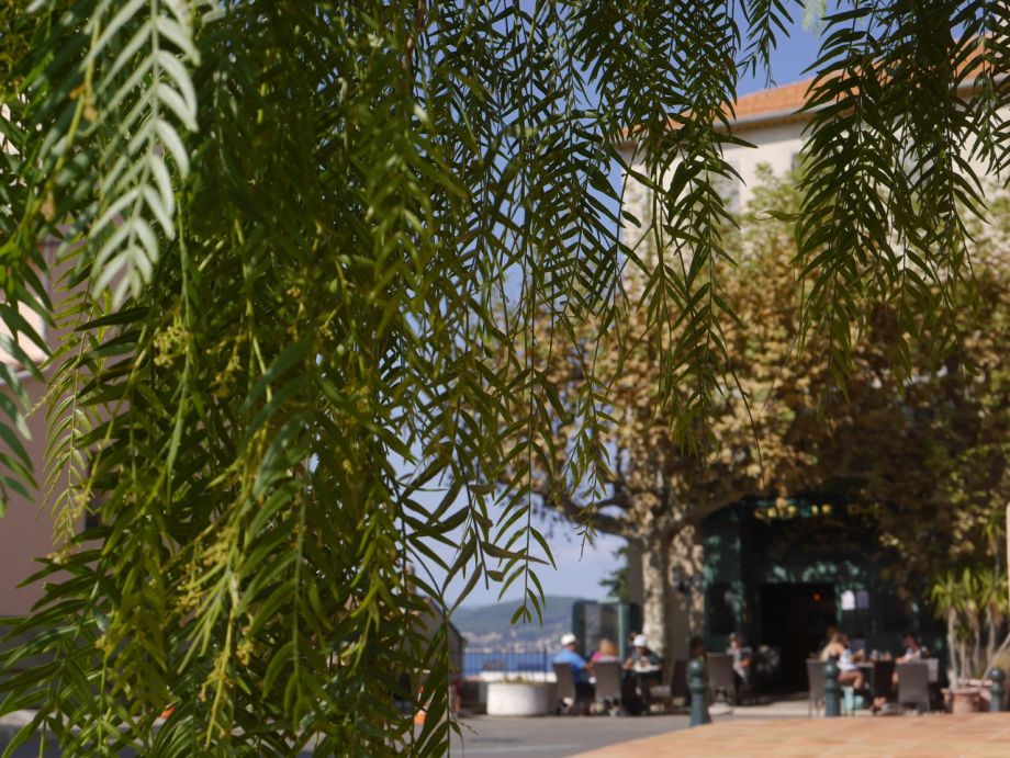 séjour randonnée côte d'azur
