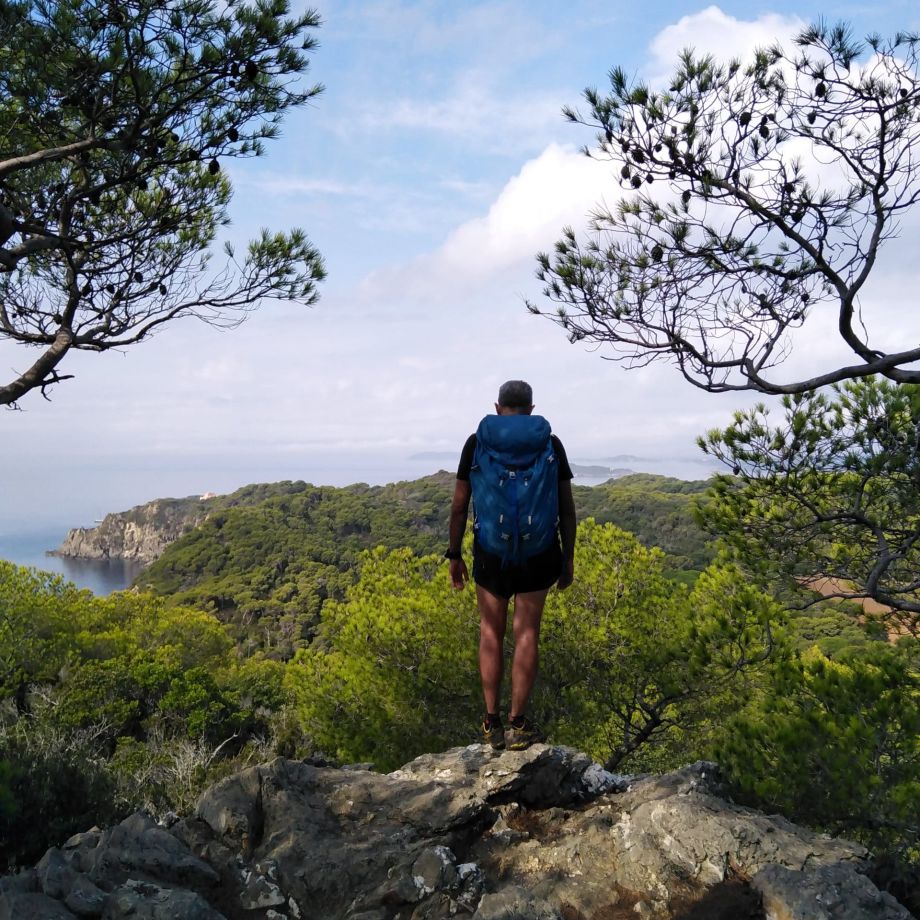 rando var